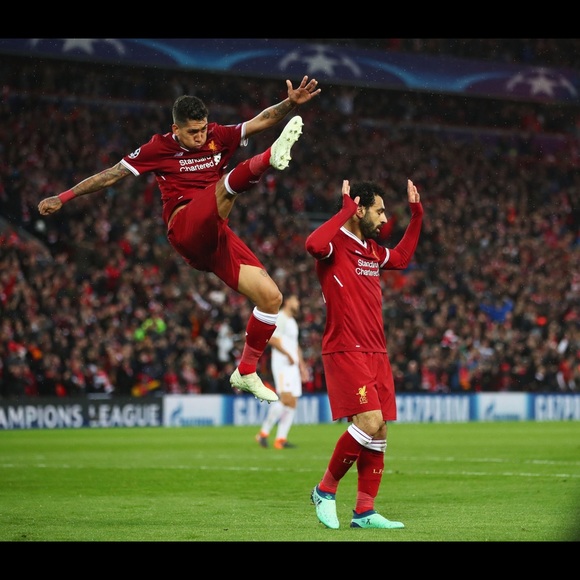 Meet your Posher, Gavin - Picture 1 of 1